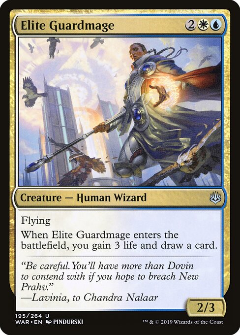 Elite Guardmage — art by PINDURSKI