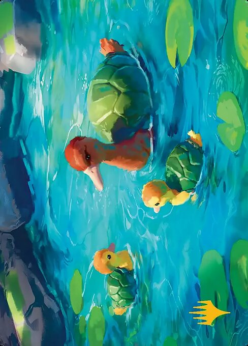 Turtle-Duck // Turtle-Duck — art by Sylvain Sarrailh