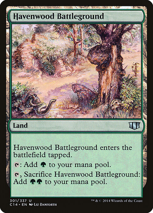 Havenwood Battleground — art by Liz Danforth