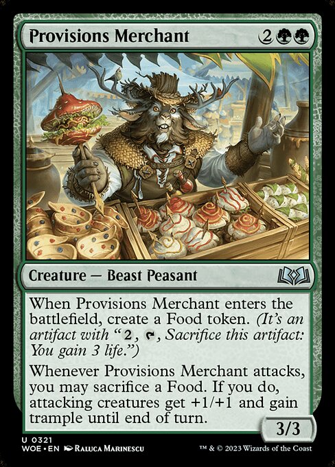 Provisions Merchant — art by Raluca Marinescu