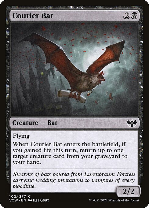 Courier Bat — art by Ilse Gort