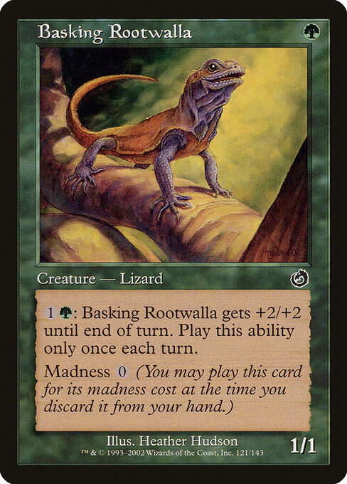 Basking Rootwalla — art by Heather Hudson
