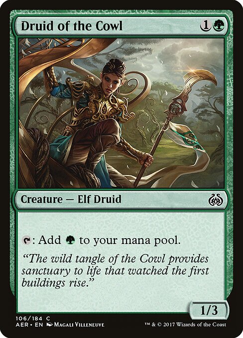 Druid of the Cowl — art by Magali Villeneuve