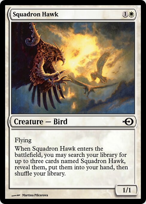 Squadron Hawk — art by Martina Pilcerova