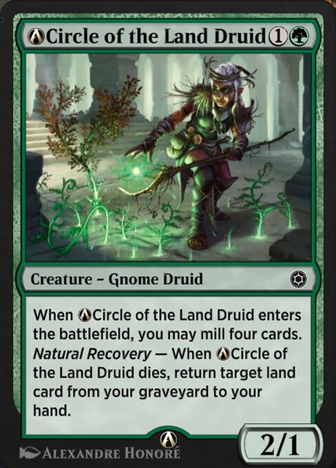 A-Circle of the Land Druid — art by Alexandre Honoré