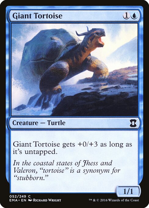 Giant Tortoise — art by Richard Wright