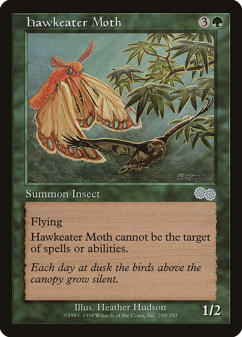 Hawkeater Moth — art by Heather Hudson