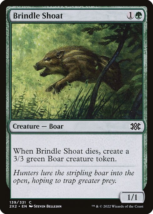 Brindle Shoat — art by Steven Belledin