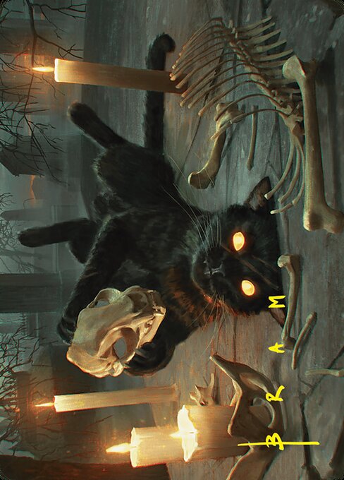 Nine-Lives Familiar // Nine-Lives Familiar — art by Bram Sels