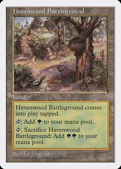 Havenwood Battleground — art by Liz Danforth
