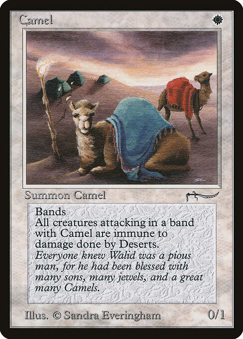 Camel — art by Sandra Everingham