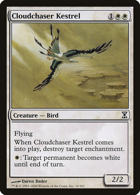 Cloudchaser Kestrel — art by Daren Bader